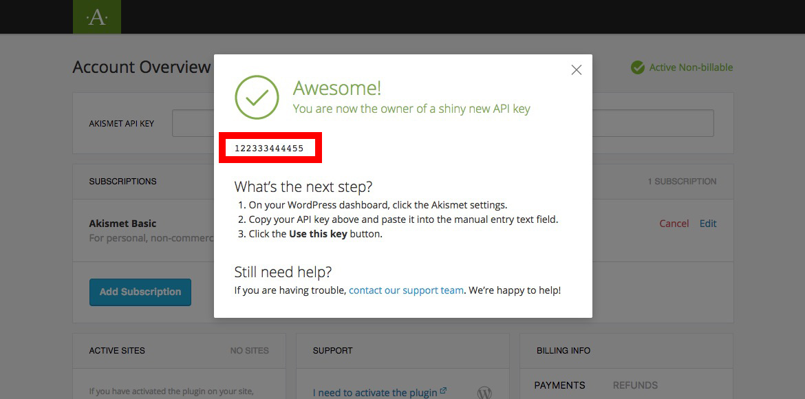 Akismet API Key