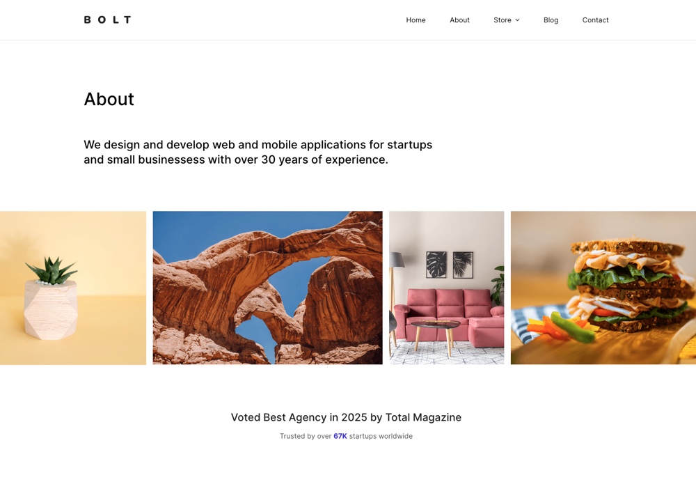 WordPress Theme About Page Example
