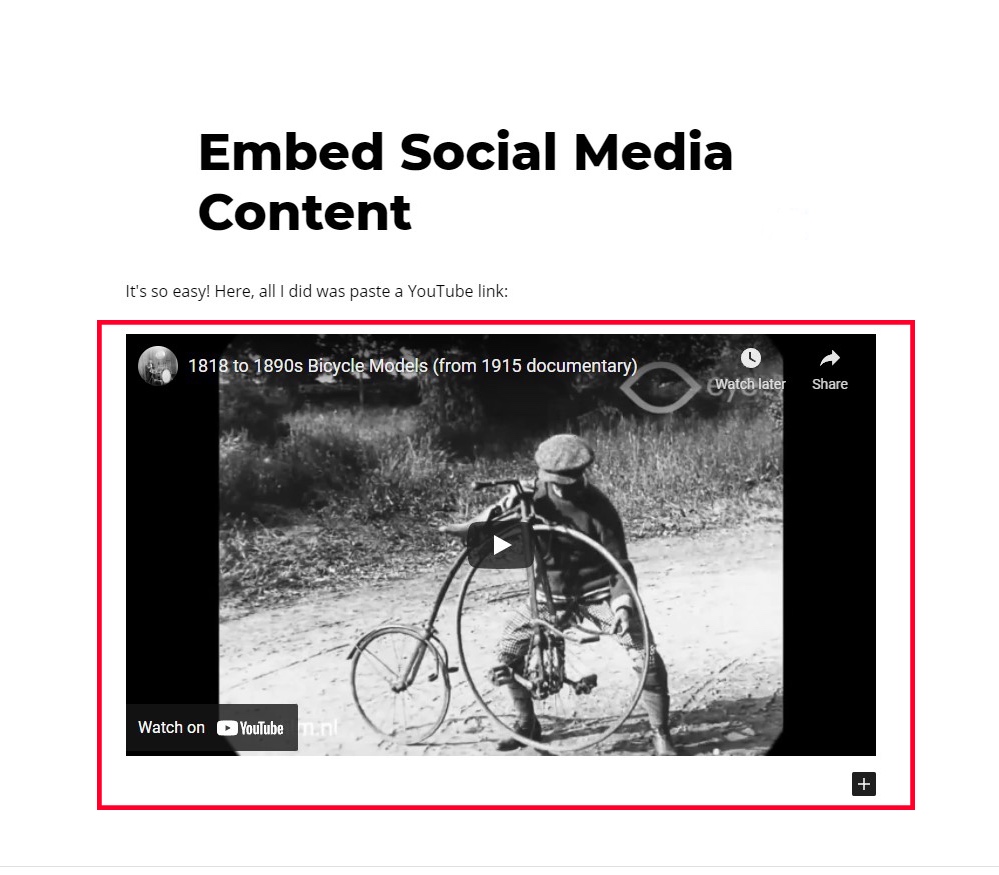 Embed Social Media Content