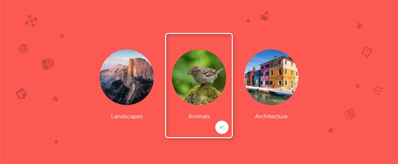 Gravity Forms Image Choices