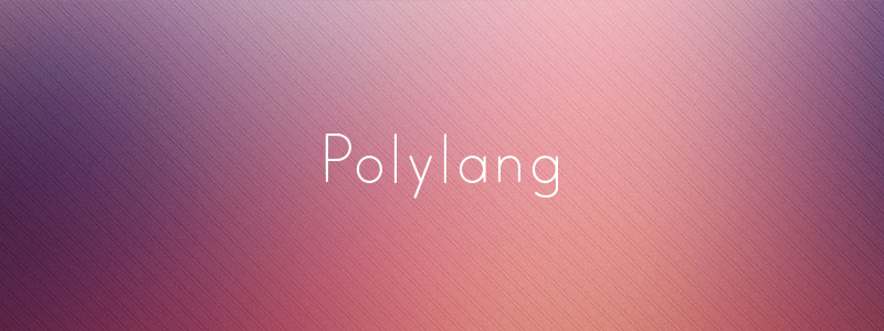 Translate WordPress with Polylang