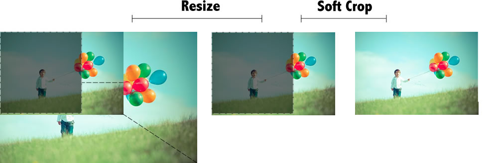 Soft Crop
