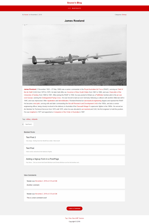 amp-for-wp-plugin-2-hero-test-page-500-px