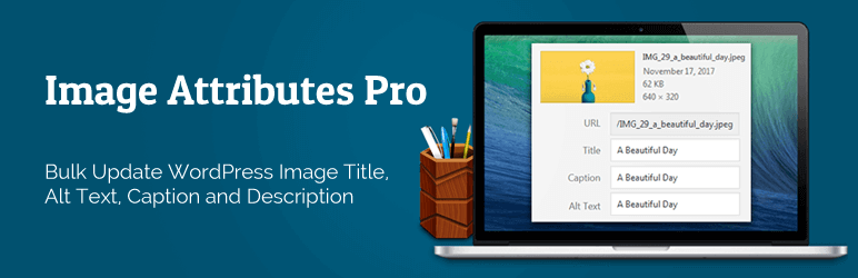 Auto Image Attributes