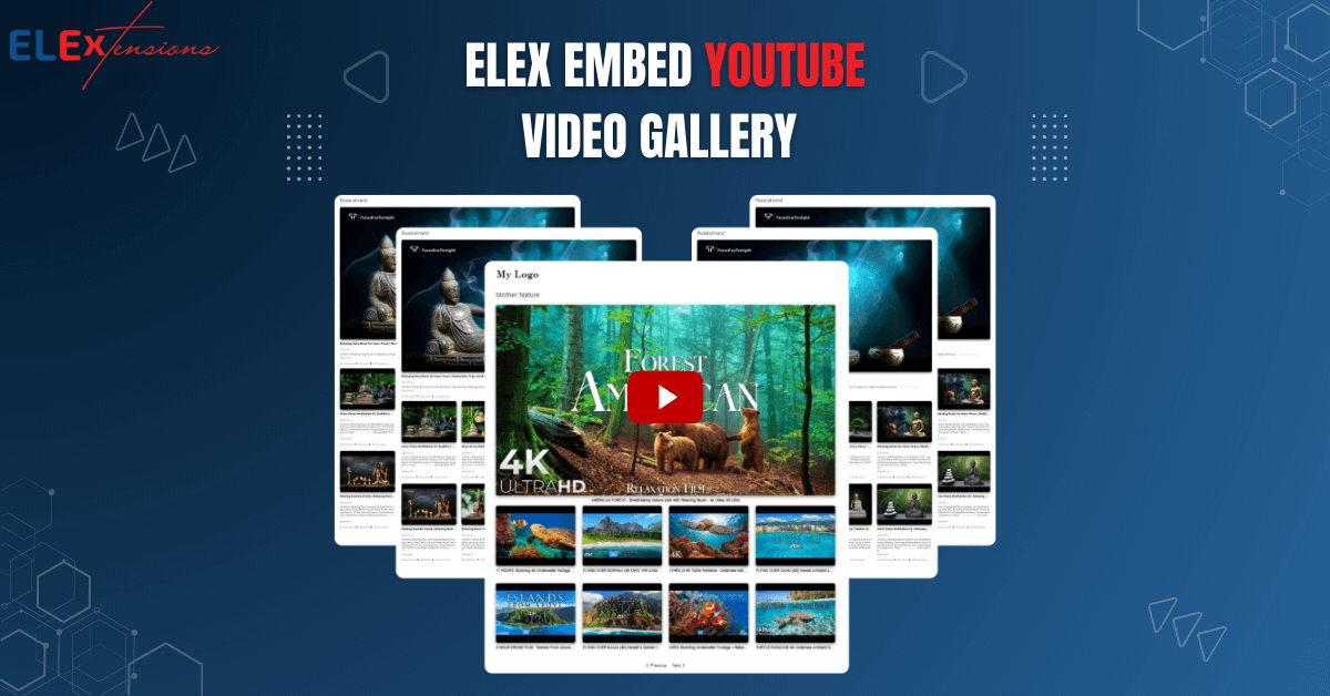 LEX WordPress Embed YouTube Video Gallery