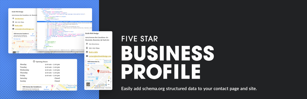 Business Profile & Schema WordPress plugin