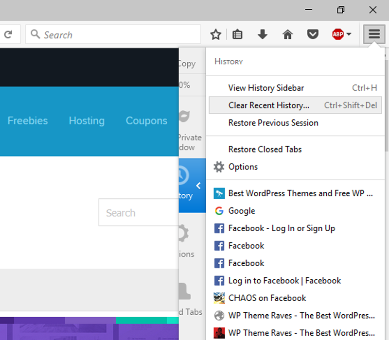 how to clean WordPress cache firefox part 2