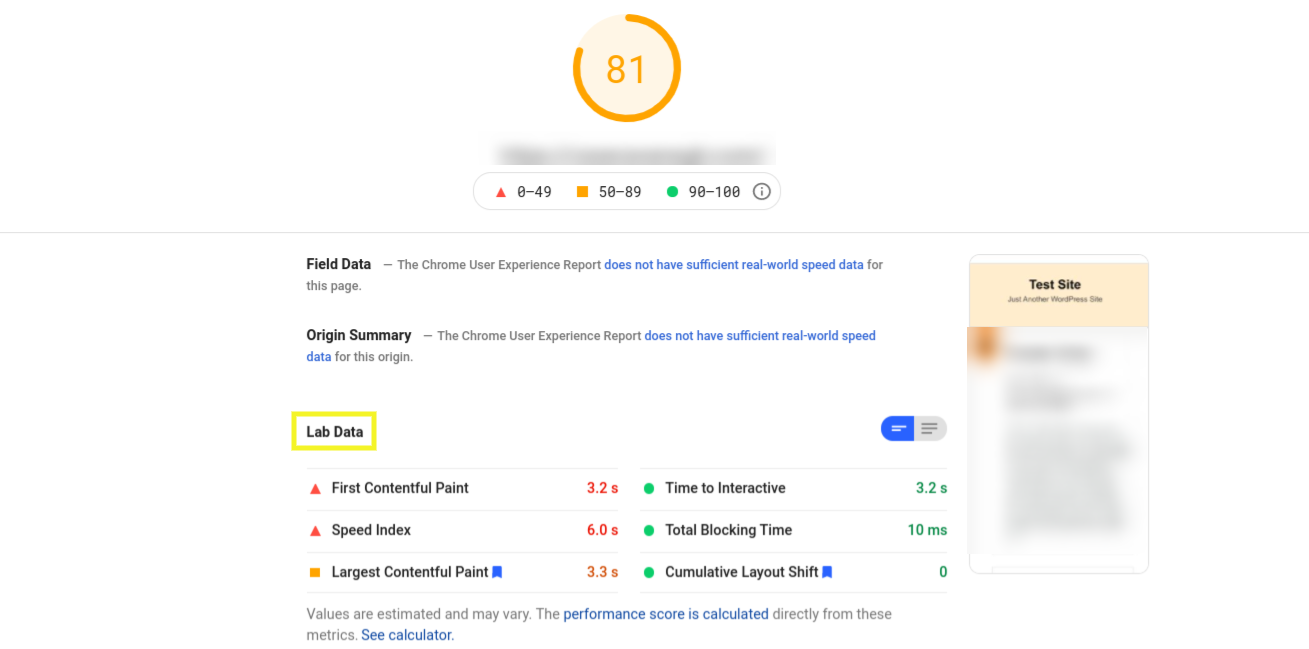 Google PageSpeed Insights Lab Data