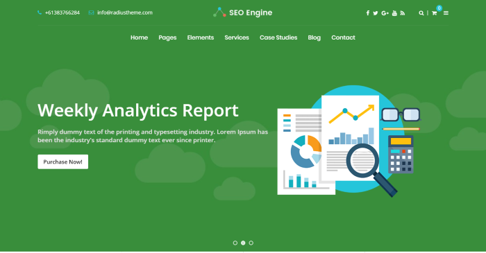 SEOEngine - Digital Agency WordPress Theme SEOEngine - Digital Agency WordPress Theme