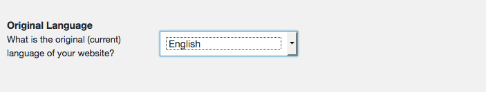 Weglot Translate original language