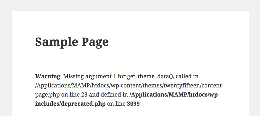 wp-debug-error