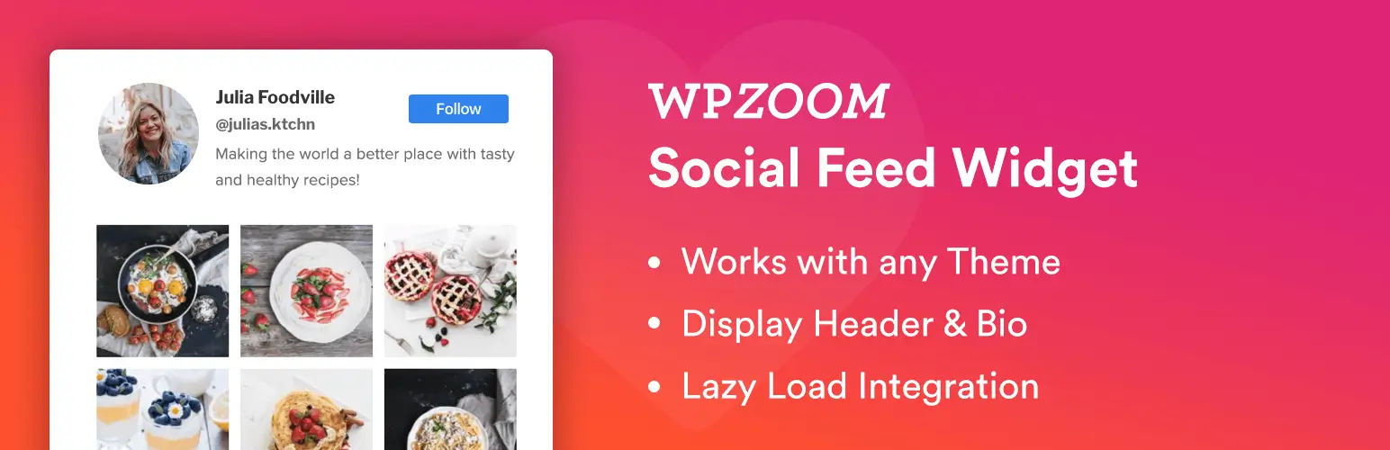 WPZOOM Social Feed Widget WordPress plugin